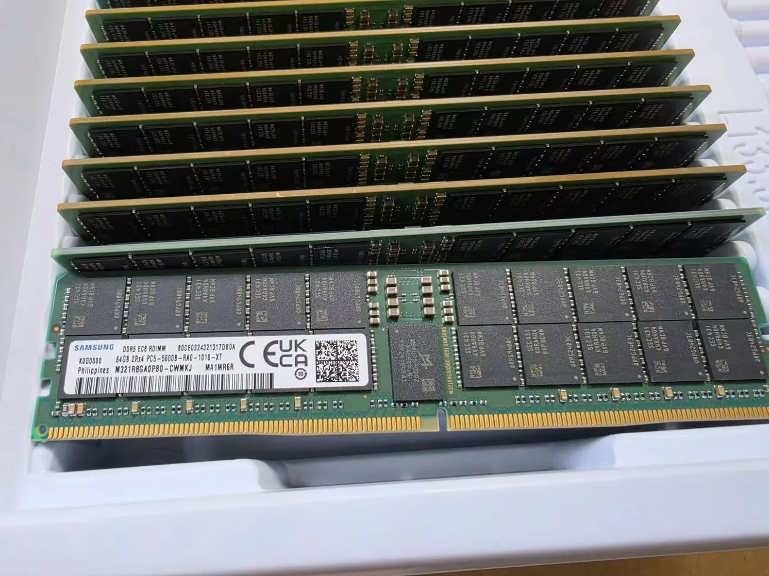 Samsung DDR5 64GB RDIMM tray real stock photo